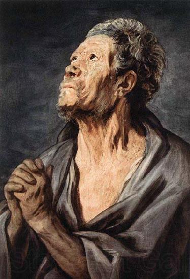 JORDAENS, Jacob An Apostle Spain oil painting art